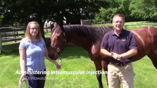 How to administer an Intramuscular Injection [upl. by Oravla]