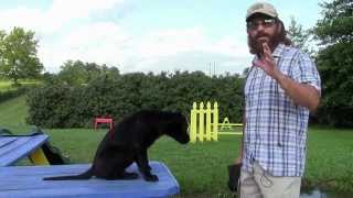 Training Your Labrador Retriever Puppy Part One [upl. by Jordans]