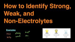 How to Identify Strong Weak and NonElectrolytes Examples amp Practice Problems [upl. by Cowie]