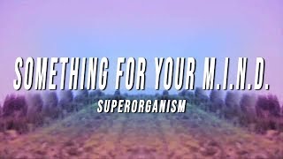 Superorganism  Something For Your MIND Lyrics [upl. by Ayanat]