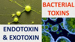 Bacterial toxins Endotoxin amp Exotoxin [upl. by Otilia215]