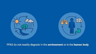 PFAS 101 [upl. by Hunt]
