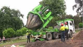 Tree Transplanting with ArborCo Melbournem4v [upl. by Yahc742]