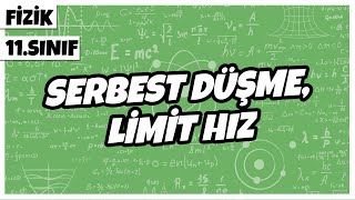 11Sınıf Fizik  Serbest Düşme Limit Hız  2022 [upl. by Zebulon]