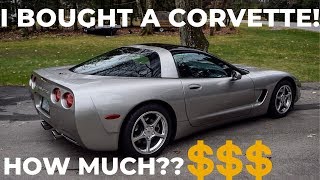 I Bought a C5 CorvetteHeres Why [upl. by Pence845]