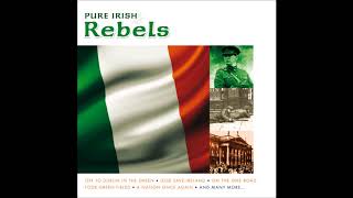 Pure Irish Rebels  20 Songs Of Irish Freedom [upl. by Yusem]