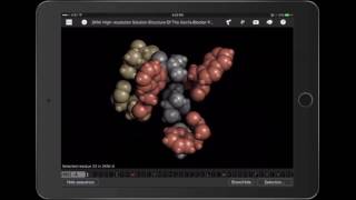 Hydrophobic interactions [upl. by Airamas]