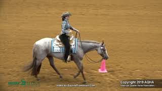 2019 AQHA Select Western Riding [upl. by Novelc]