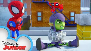 Meet Spidey and his Amazing Friends Short 4  Spidey Surprise  disneyjunior MarvelHQ [upl. by Nillok]