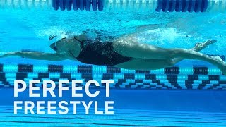 How To Swim Freestyle With Perfect Technique [upl. by Howey951]