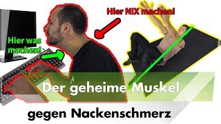 Nackenschmerzen  Aktiviere DIESEN Muskel [upl. by Ottinger]