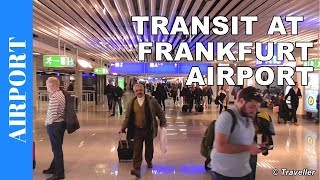 TRANSIT WALK AT FRANKFURT Airport FRA Terminal 1  Connection Flight Transfer Arriving amp Departing [upl. by Aracaj230]