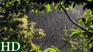 Lluvia HD  Sonido de Lluvia y Sonidos de la Naturaleza  Dormir [upl. by Atnwahs175]