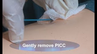 How to Remove a PICC Demo [upl. by Leeth]