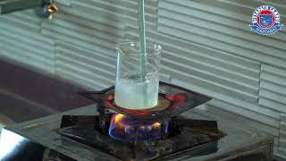 Preparation of Lyophilic Sol Starch sol [upl. by Lodovico]