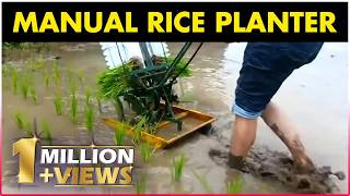 Manual Rice Planter  Manual Paddy Transplanting Machine [upl. by Westfall943]