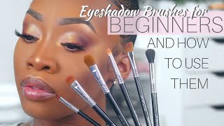 Eyeshadow BRUSHES for BEGINNERS And How to Use Them  Maya Galore [upl. by Auqinot]