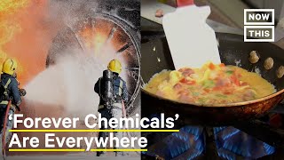 PFAS Are the Forever Chemicals Youve Never Heard Of [upl. by Orazal]