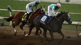 Arrogate wins the Breeders Cup Classic from California Chrome [upl. by Birkle]