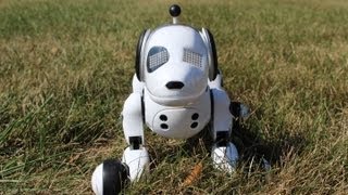 Zoomer The Interactive Robotic Dog Review [upl. by Nahs]