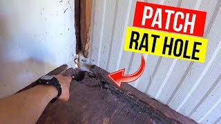 How To Patch a Rat Hole Jonny DIY [upl. by Adnilg736]