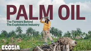 Finding Alternatives to Palm Oil  Reforesting Indonesia [upl. by Essilem]